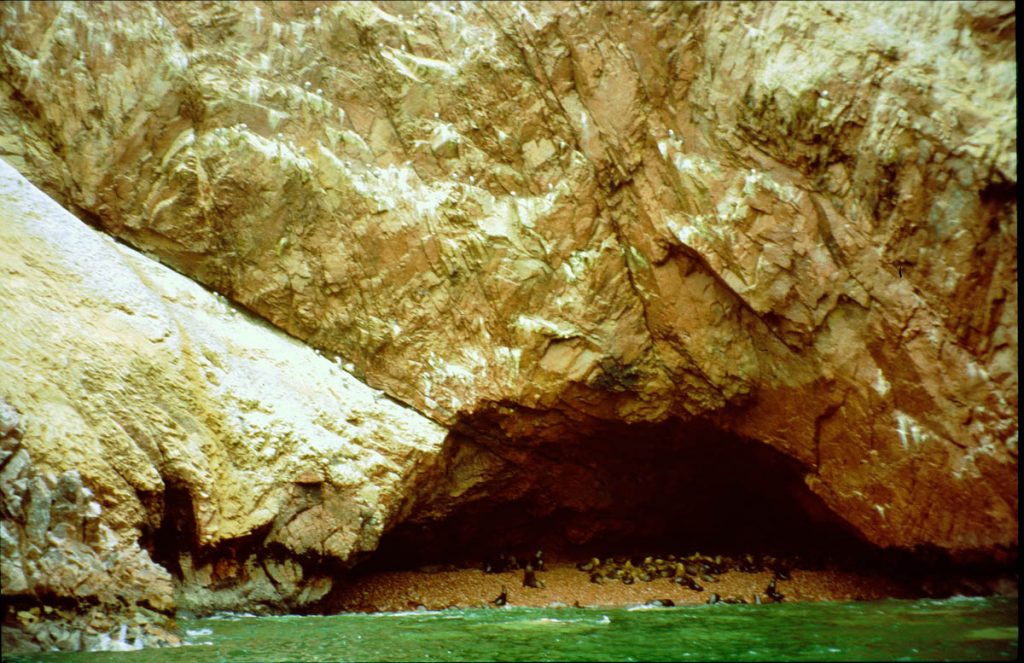 ballestas robben2005