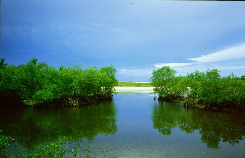 brasil pto seguro strand3 1992