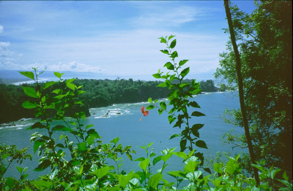 costa rica meer mit blume2000