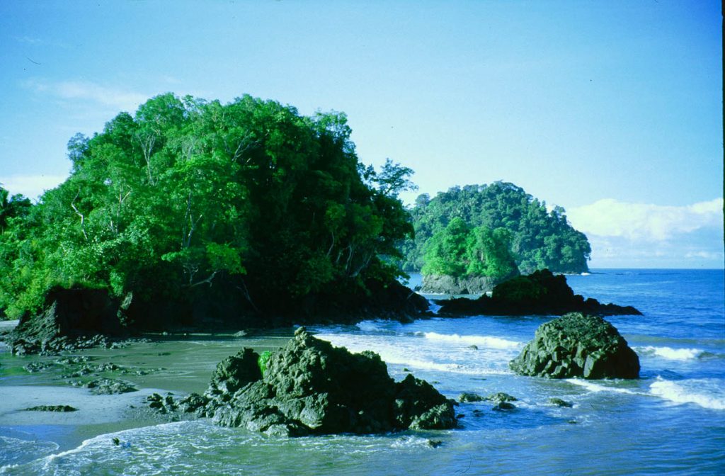 costa rica strand felsen2000