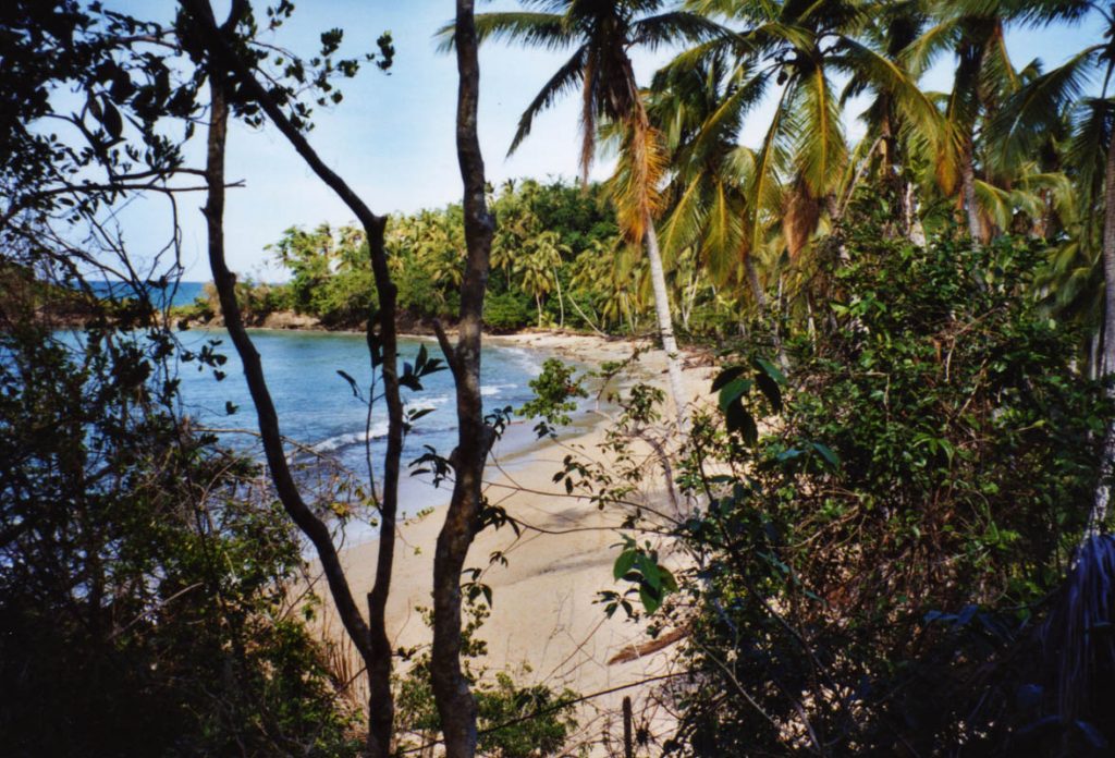 domrep playa amores