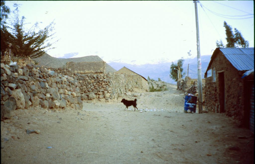 dorf colca canon2005