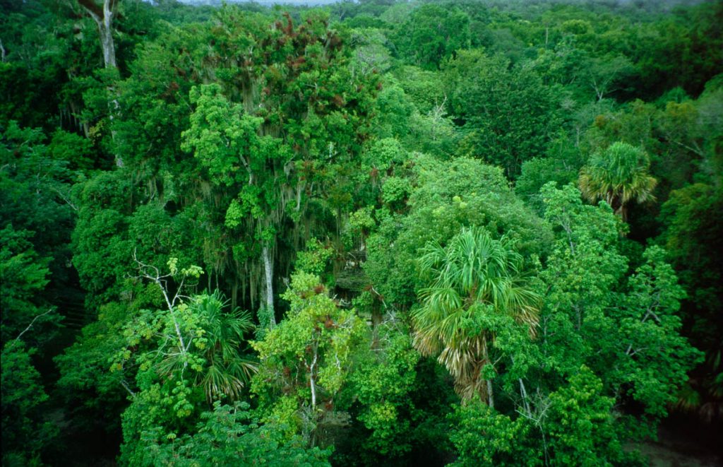 guatemala tikal7 2002