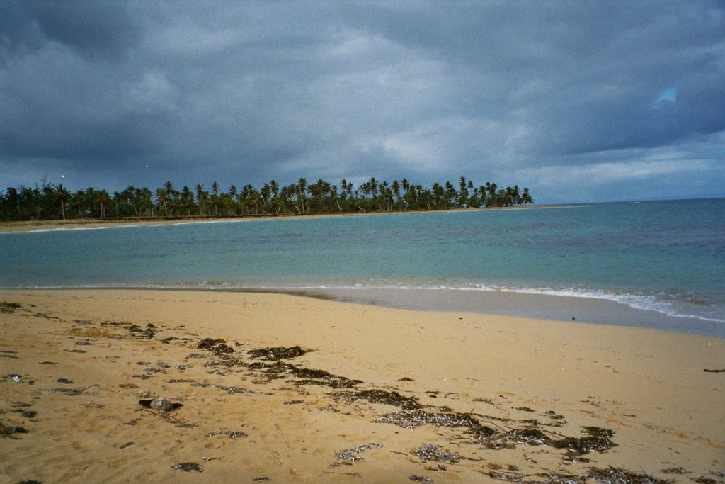 imm006_7A-25