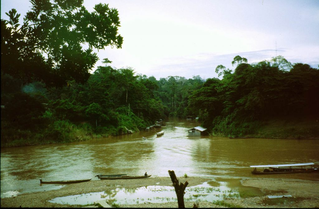 malaysia dschungel flußgabelung1997