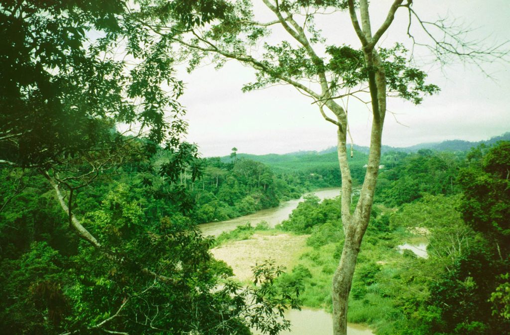 malaysia fluß dschungel1997