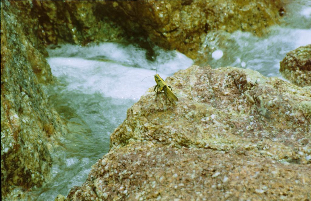 malaysia hüpfer1997