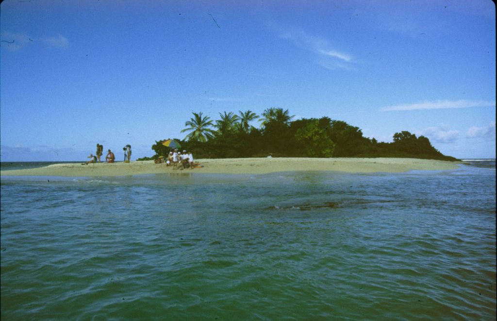palmeninsel 1997