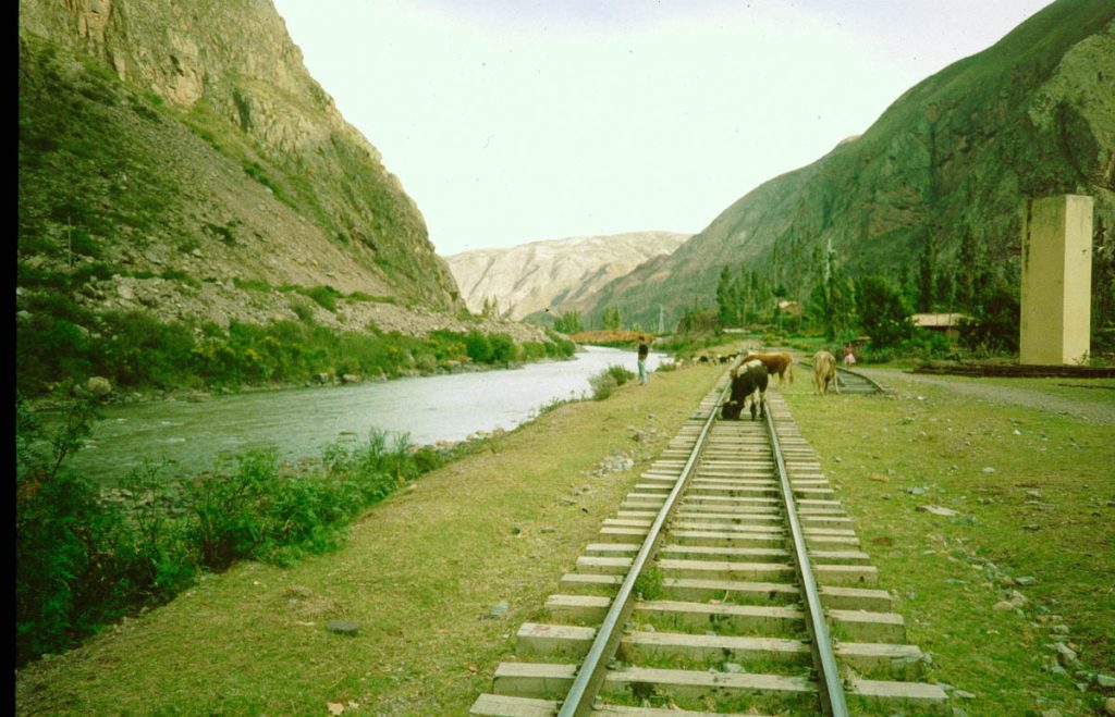 peru urubamba schienen, kühe1992