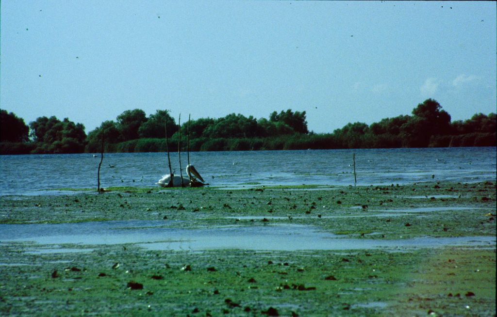 rumänien donaudelta6 1995