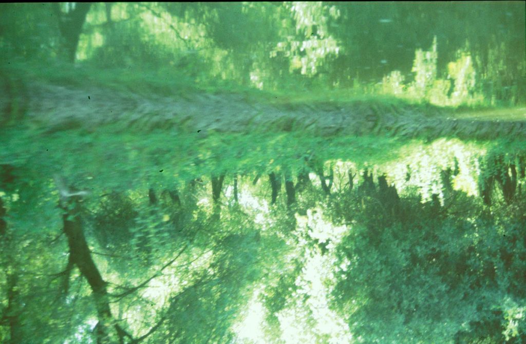 rumänien donaudelta7 1995