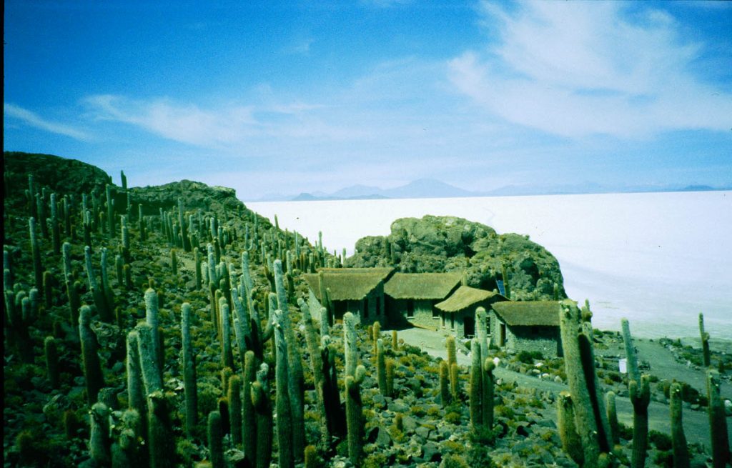 salar kaktus mit hütte2 2005